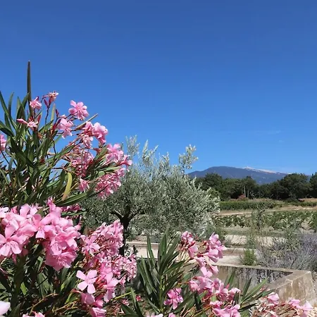 Villa Domaine Des Preyauts, Provencal, 270m